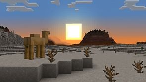 All Warm, Cold, and Temperate Biomes in Minecraft