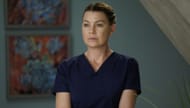 Meredith Grey has been on the show since 2005 (Image via ABC)