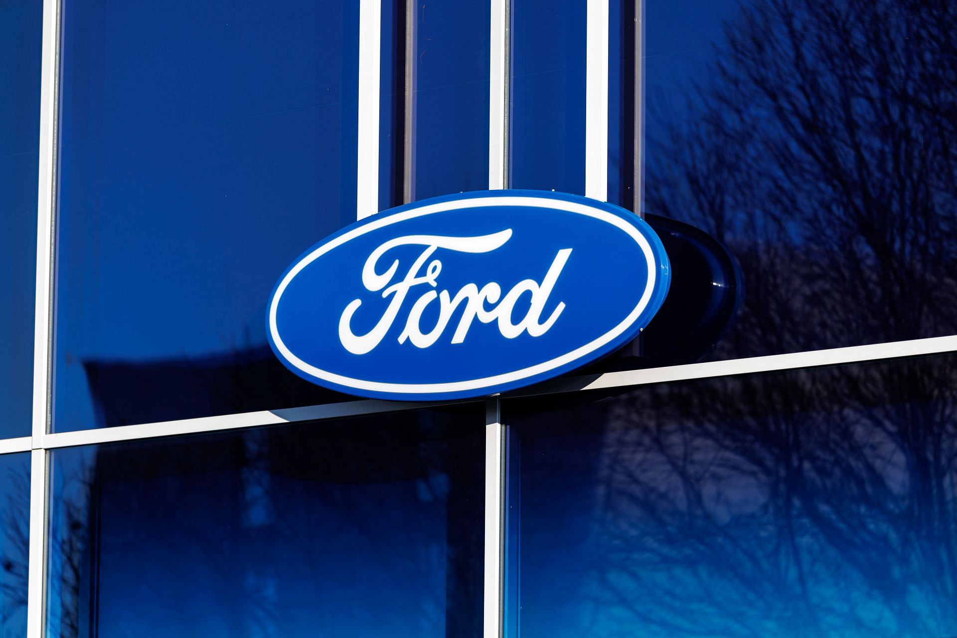 Ford logo on a branch - Source: Getty