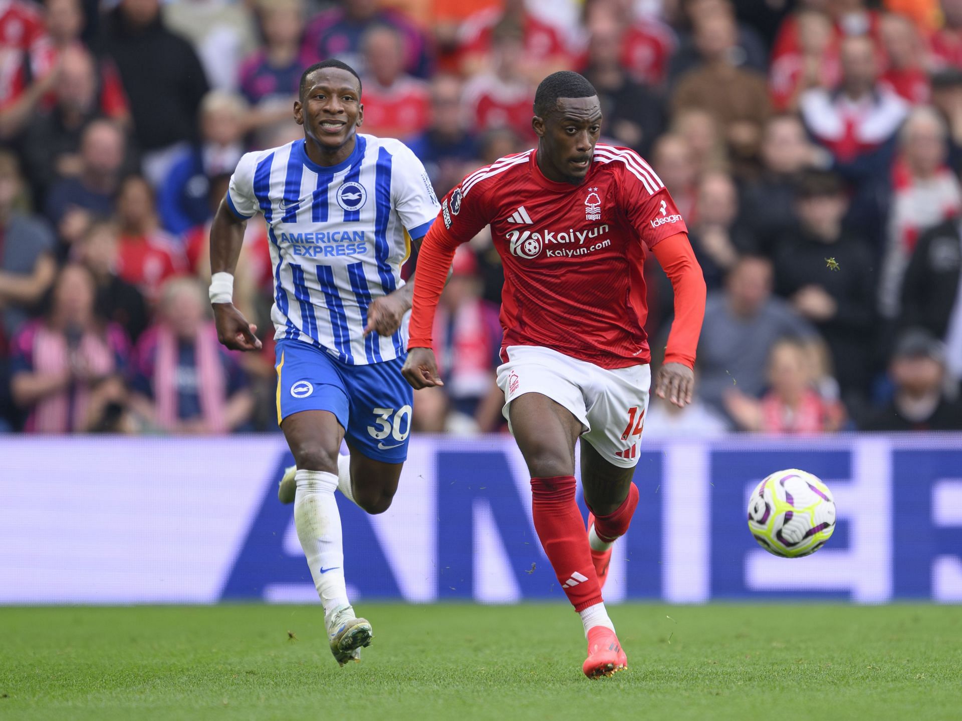 Brighton &amp; Hove Albion FC v Nottingham Forest FC - Premier League - Source: Getty