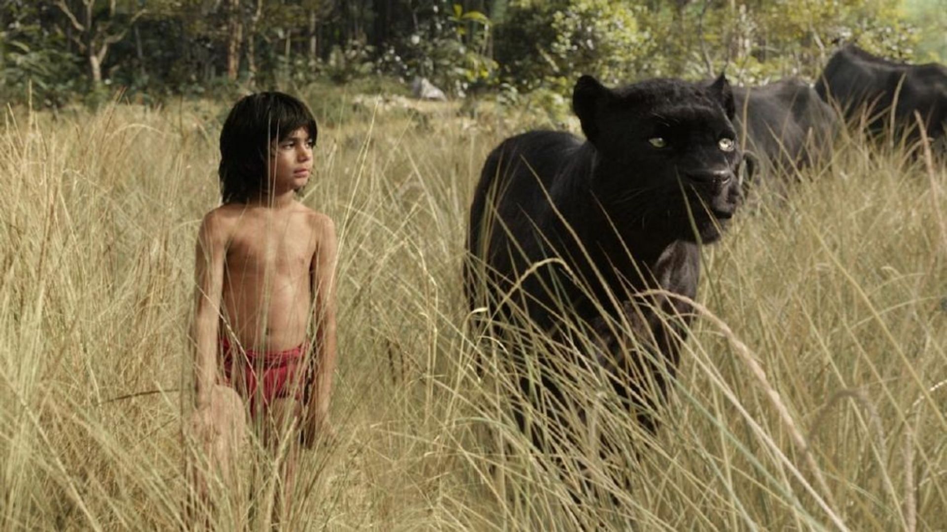 Still from The Jungle Book (Image via Disney)