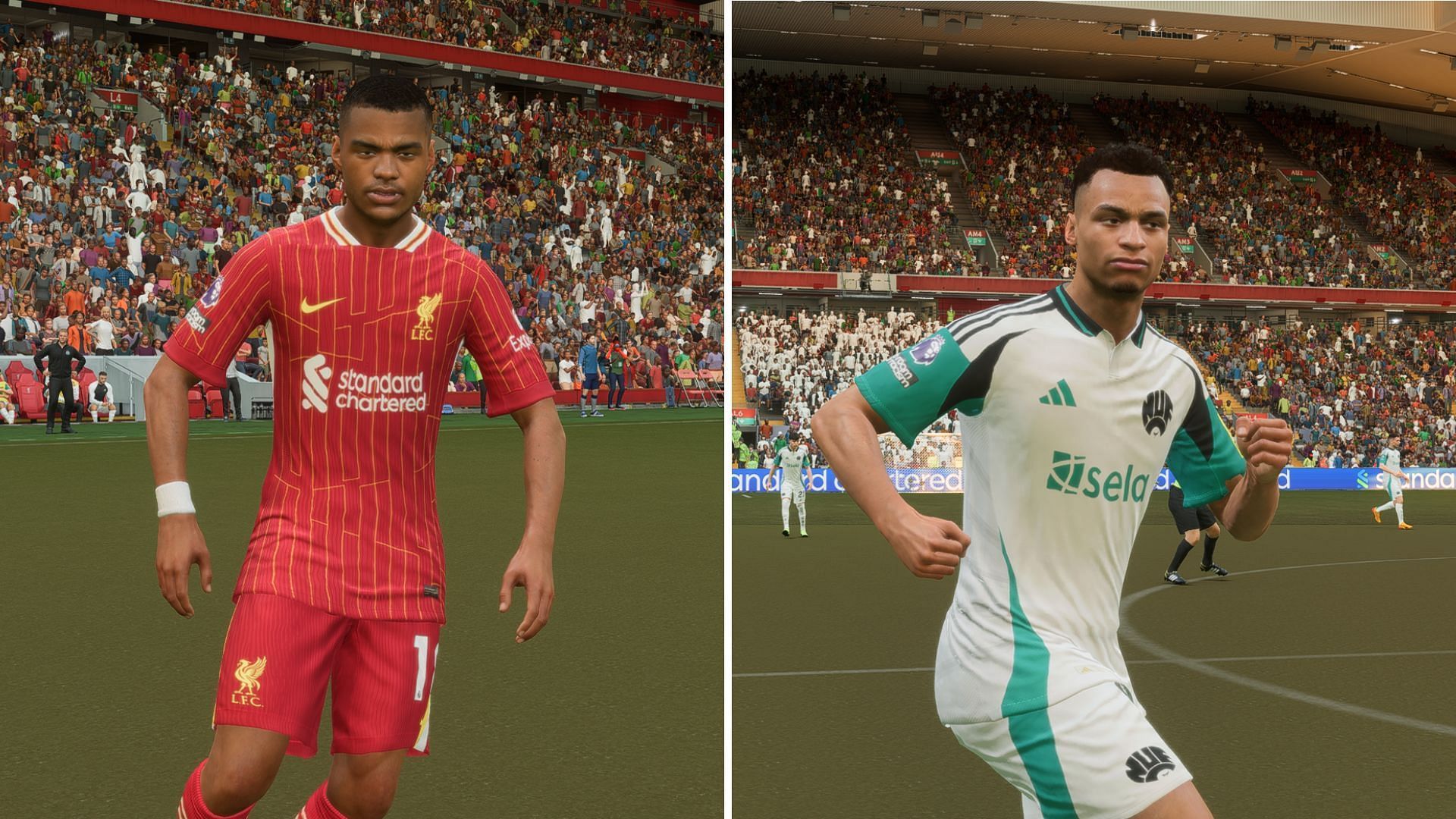 Gakpo and Murphy two promising players for Liverpool and Newcastle (Image via EA Sports)