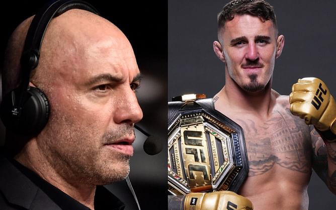 Joe Rogan only recently learns that Tom Aspinall has a loss in his MMA career: "I thought he was undefeated" [VIDEO]
