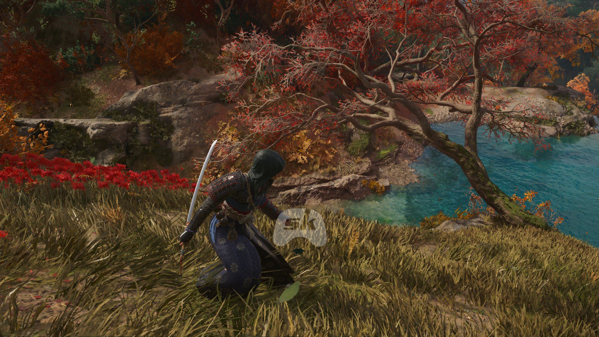 All Katana Skills for Naoe in Assassin's Creed Shadows, and how to unlock them