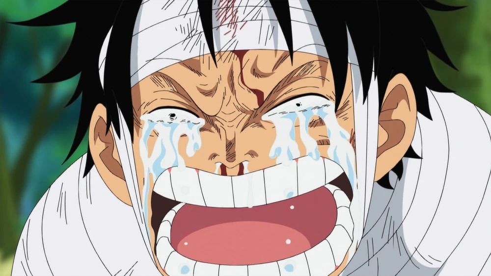 Monkey D. Luffy in One Piece.