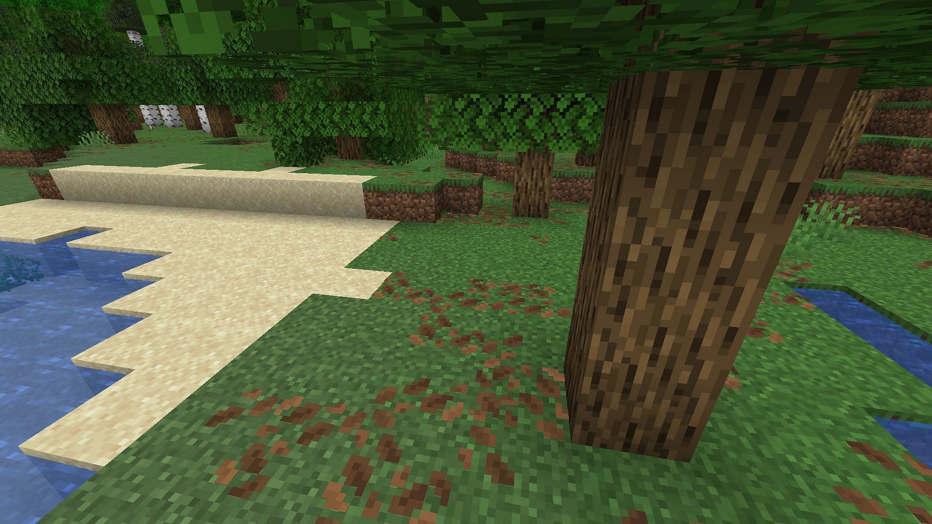 Leaf litter (Image via Mojang &amp; Sportskeeda Gaming)