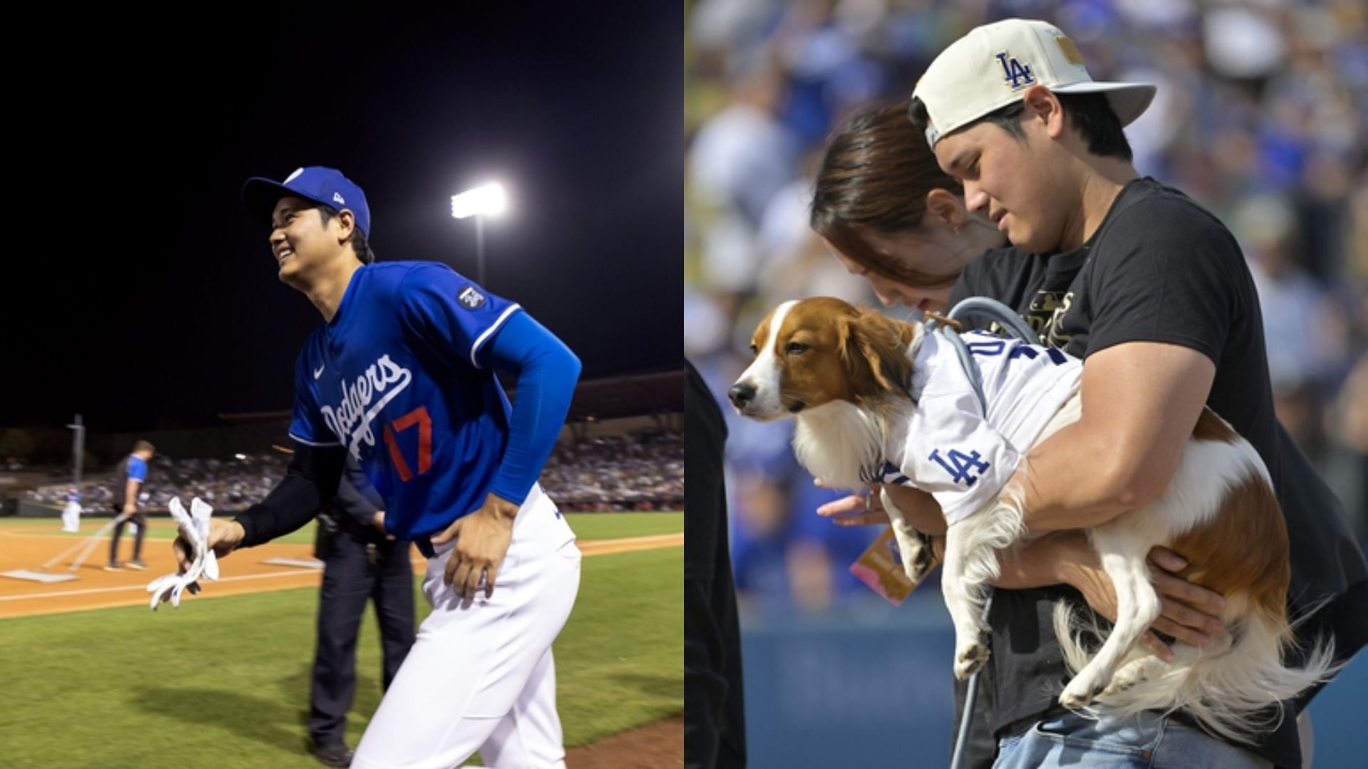 Shohei Ohtani enjoys playtime with his dog Decoy after Spring Training HR