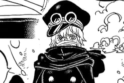 One Piece may have shown the first Holy Knight from a D. family