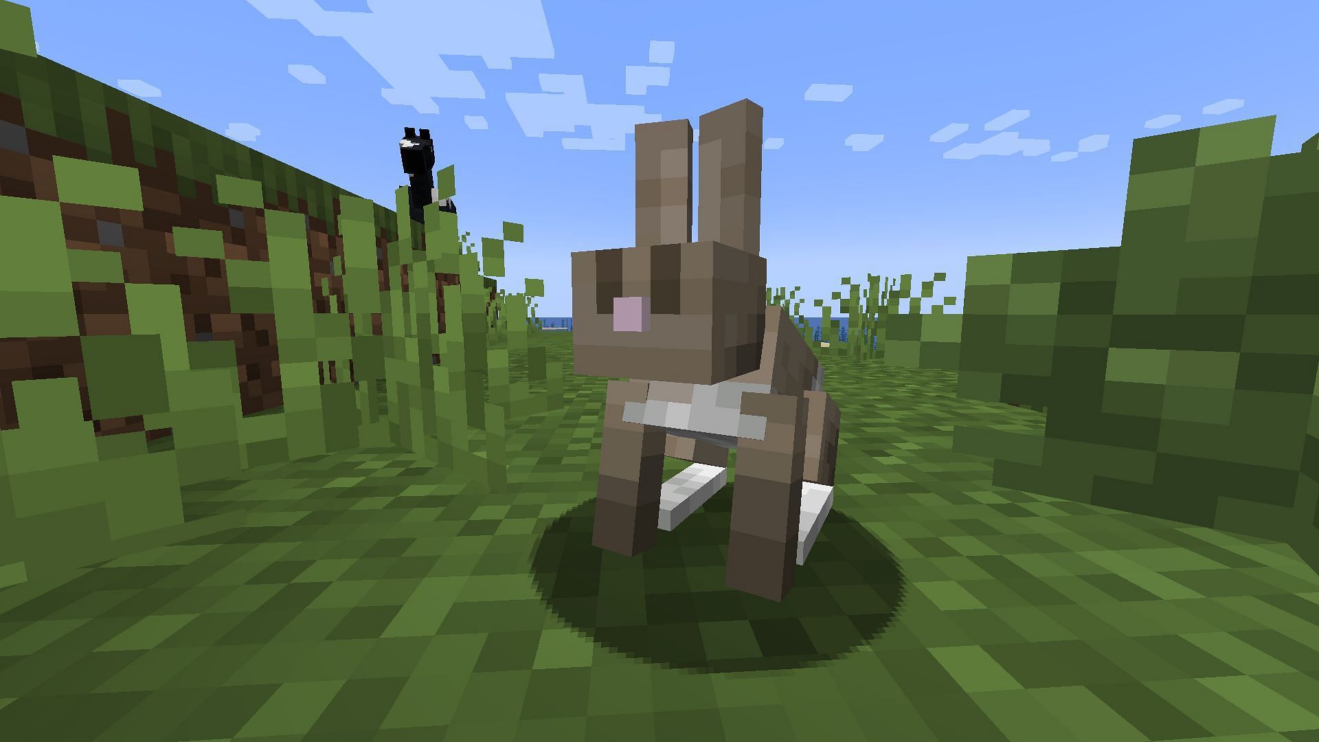 Rabbits are good at running away from you (Image via Mojang Studios || Sportskeeda Gaming)