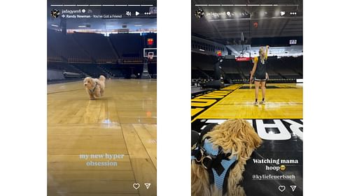 Gyamfi's stories for Kylie Feuerbach's pet dog at Iowa practice | via @jadagyamfi/ig