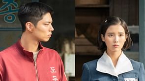 What are the Hwaseong Murders and Frog Boys cases? When Life Gives You Tangerines seemingly details the infamous 90s incidents