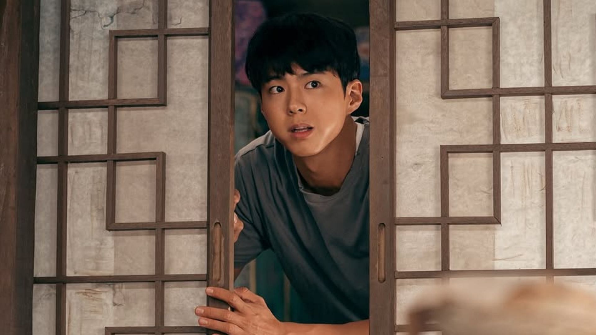 Fans divided over Park Bo-gum