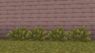 Bushes can be found in many grassy biomes (Image via Sportskeeda Gaming/Mojang Studios)