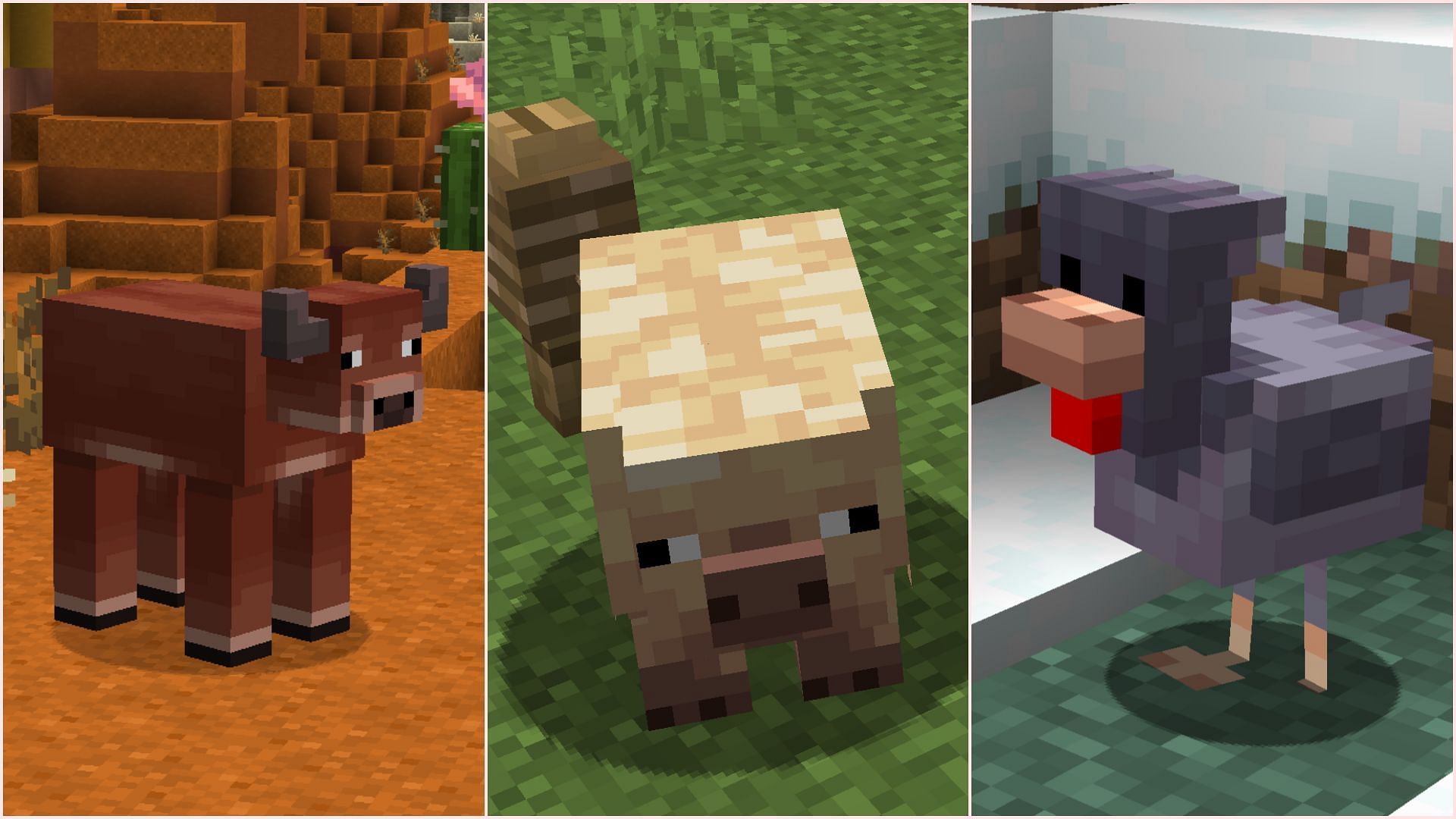 Warm and cold variants are coming for cows, pigs, and chickens (Image via Sportskeeda Gaming || Mojang Studios)