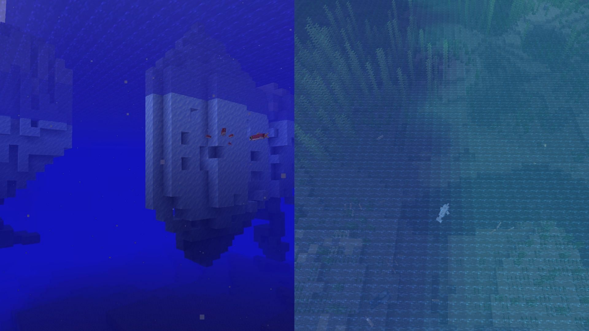 Minecraft ocean biome facts