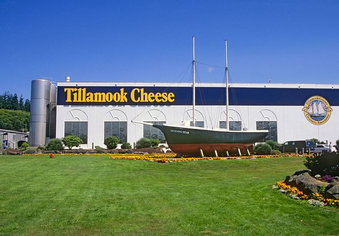 How to get free ice cream at Tillamook? Limited-time offer explored