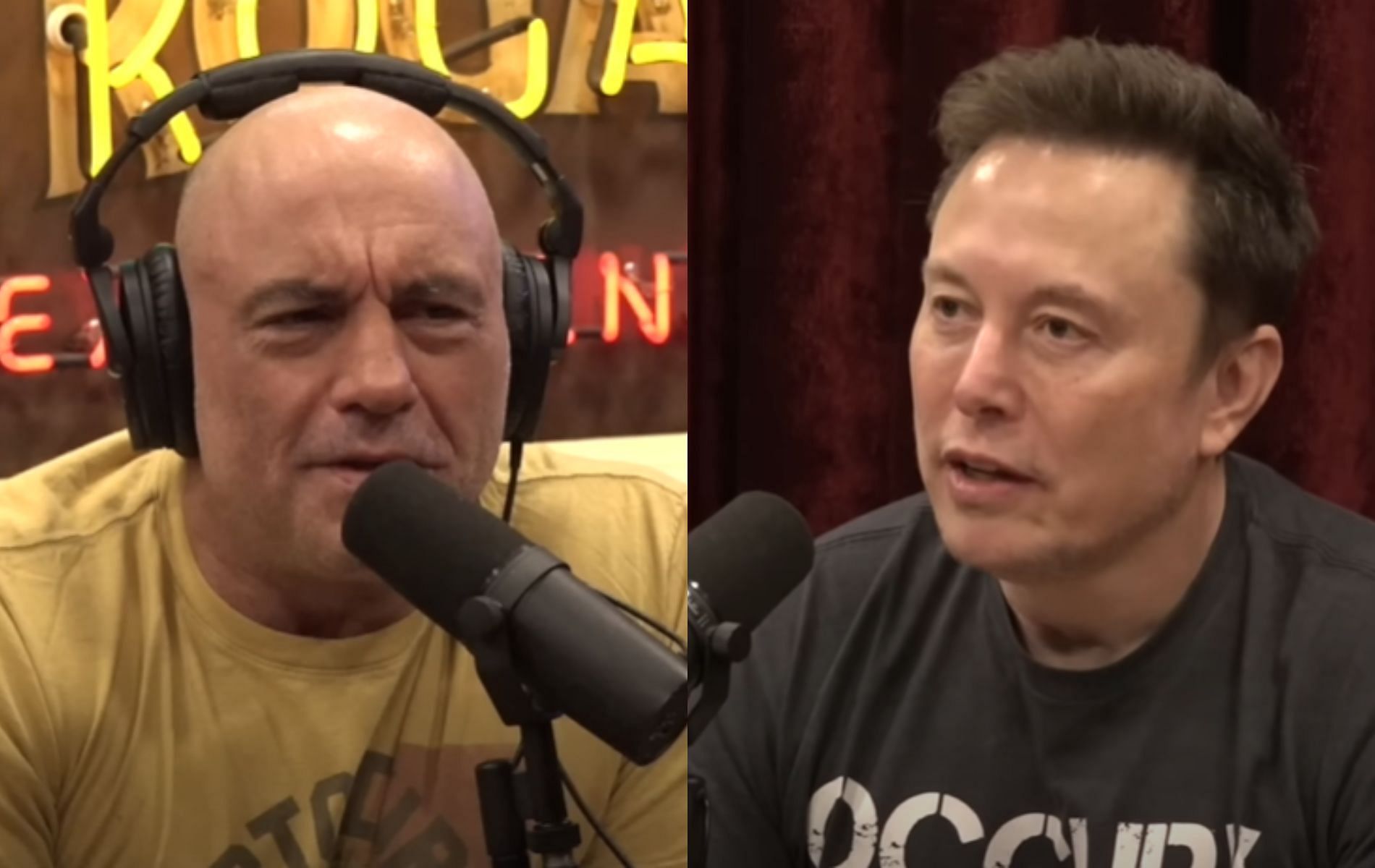 Joe Rogan and Elon Musk discuss the merits and demerits of meme coins. [Image Courtesy: @PowerfulJRE on YouTube]