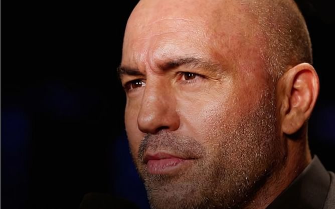 Joe Rogan and JRE guest hilariously go deep on public hygiene during Renaissance times: "And everyone has smallpox"