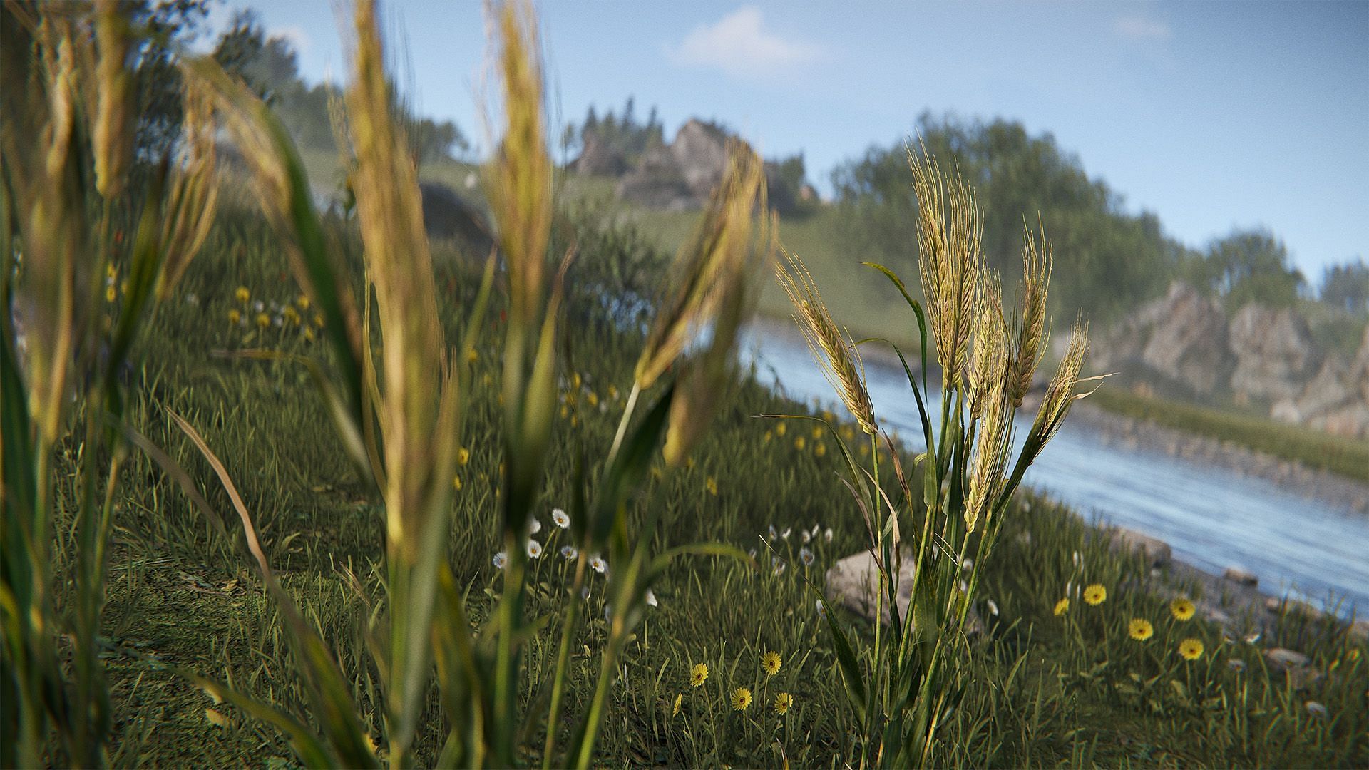 Wheat and flowers (Image via Facepunch Studios)