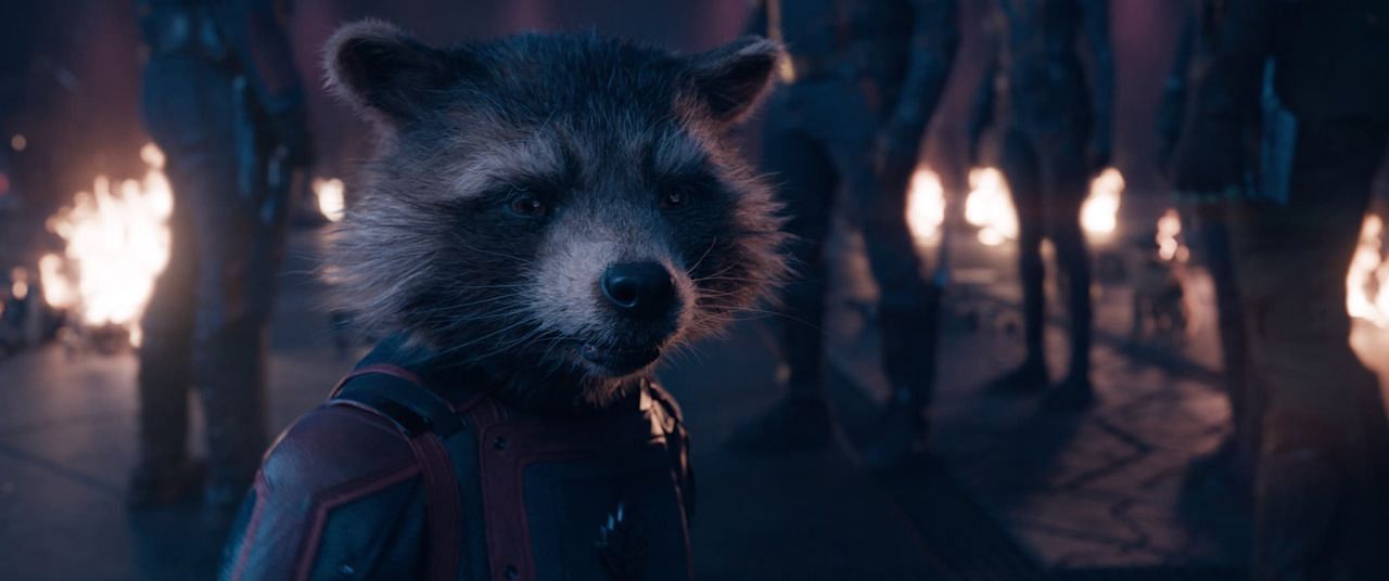 Still of Rocket Raccoon from Guardians of the Galaxy (Image via Marvel.com)