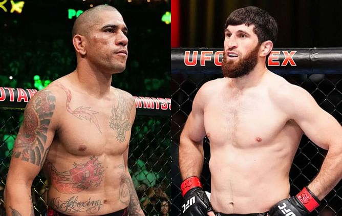 Alex Pereira launches three-word warning to Magomed Ankalaev ahead of their UFC 313 clash