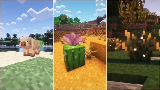 5 best seeds for Minecraft Spring to Life game drop