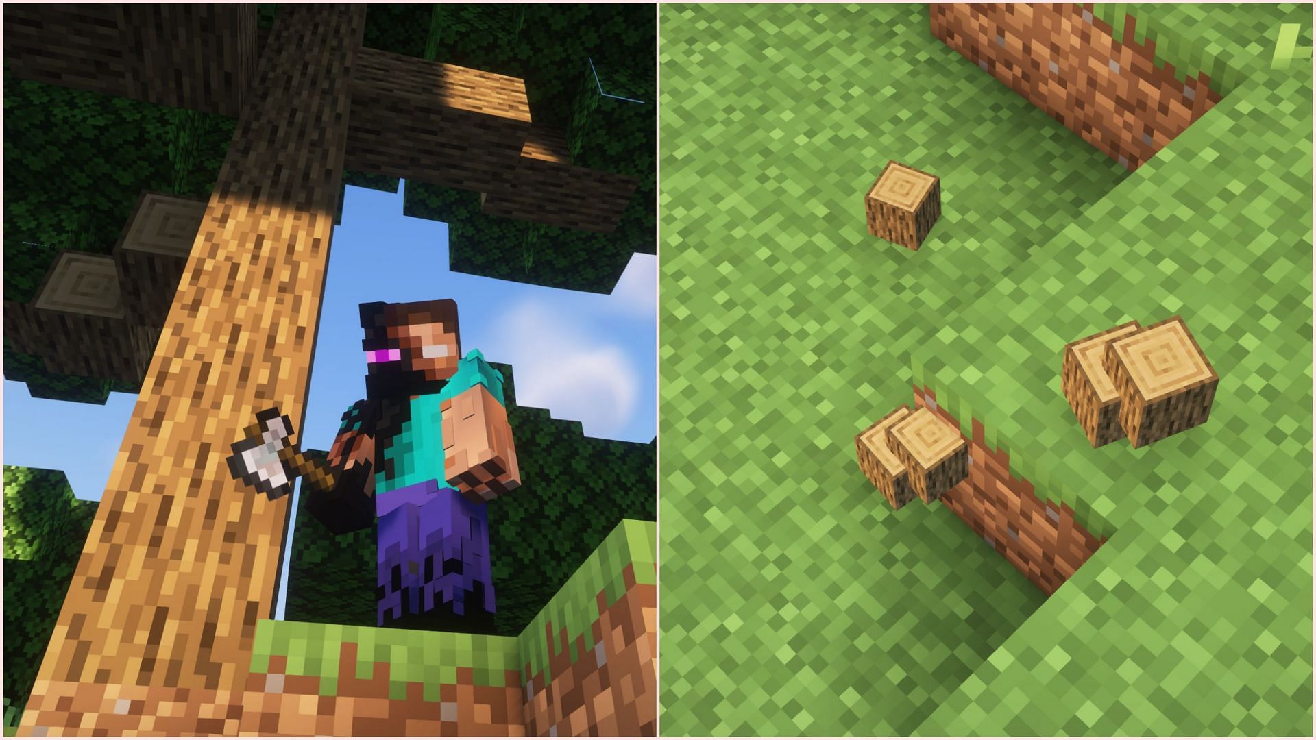 The Timber mod allows players to automatically chop the entire tree by just chopping one block of log (Image via Sportskeeda Gaming/Mojang Studios)