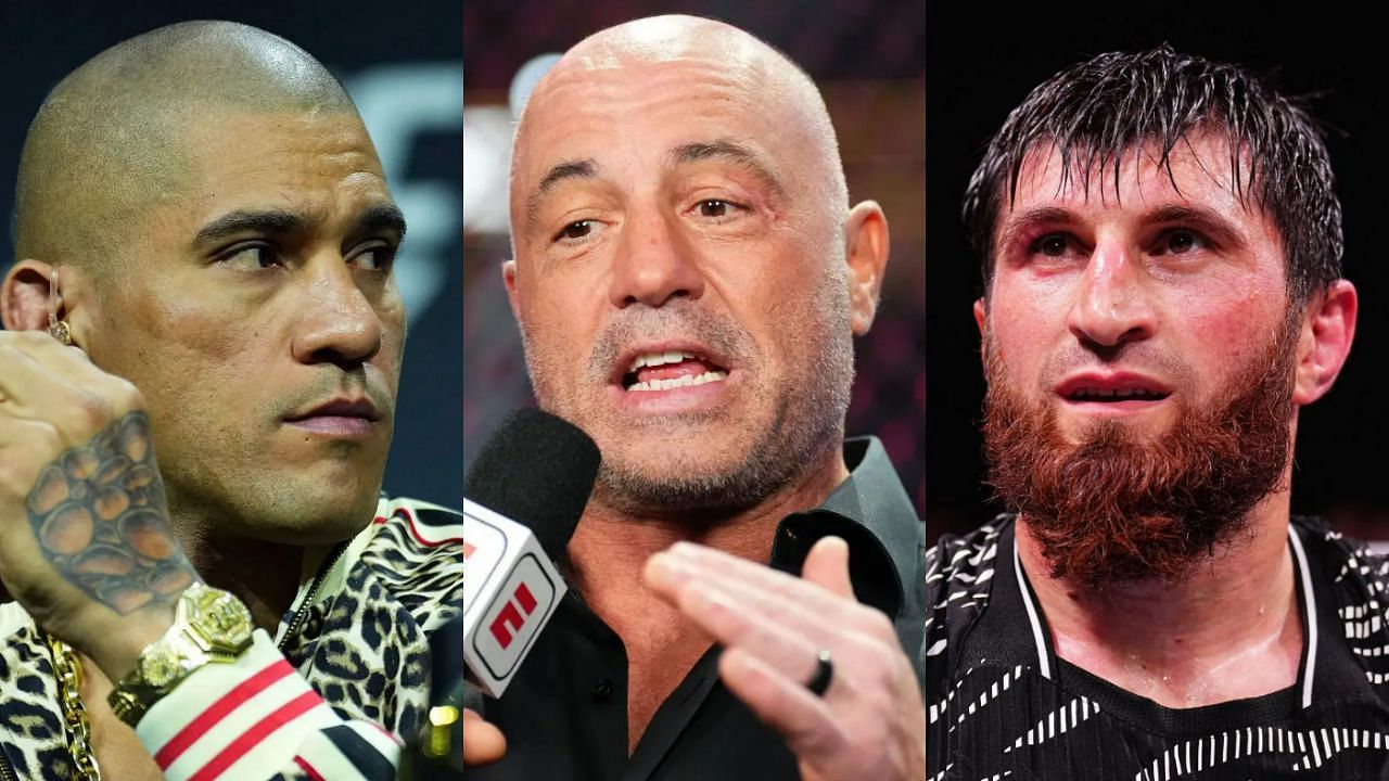 Alex Pereira (Left), Joe Rogan (Middle), Magomed Ankalaev (Right)