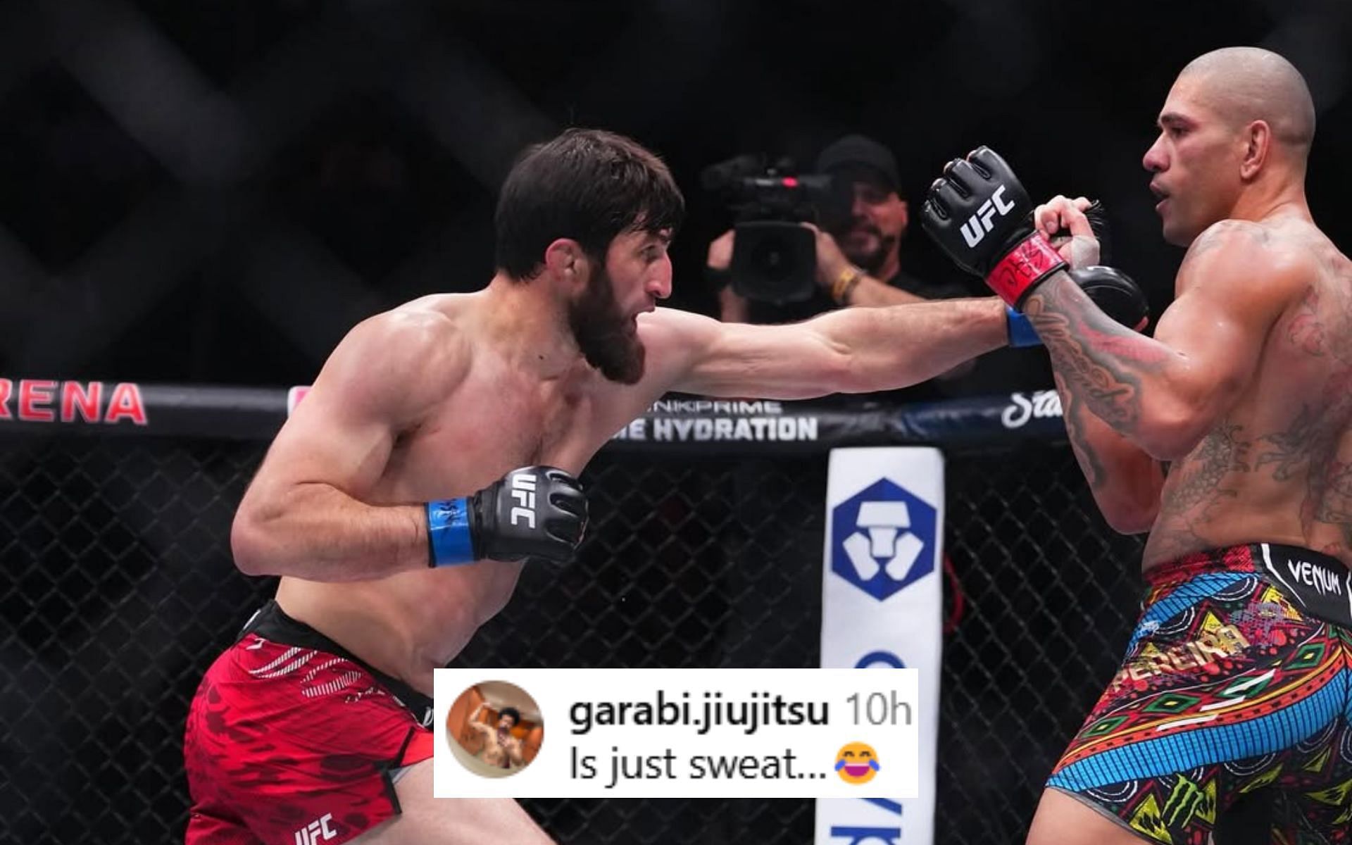 Fans react to the news of Alex Pereira (right) using grease against Magomed Ankalaev (left). [Image courtesy: @ufc on Instagram]