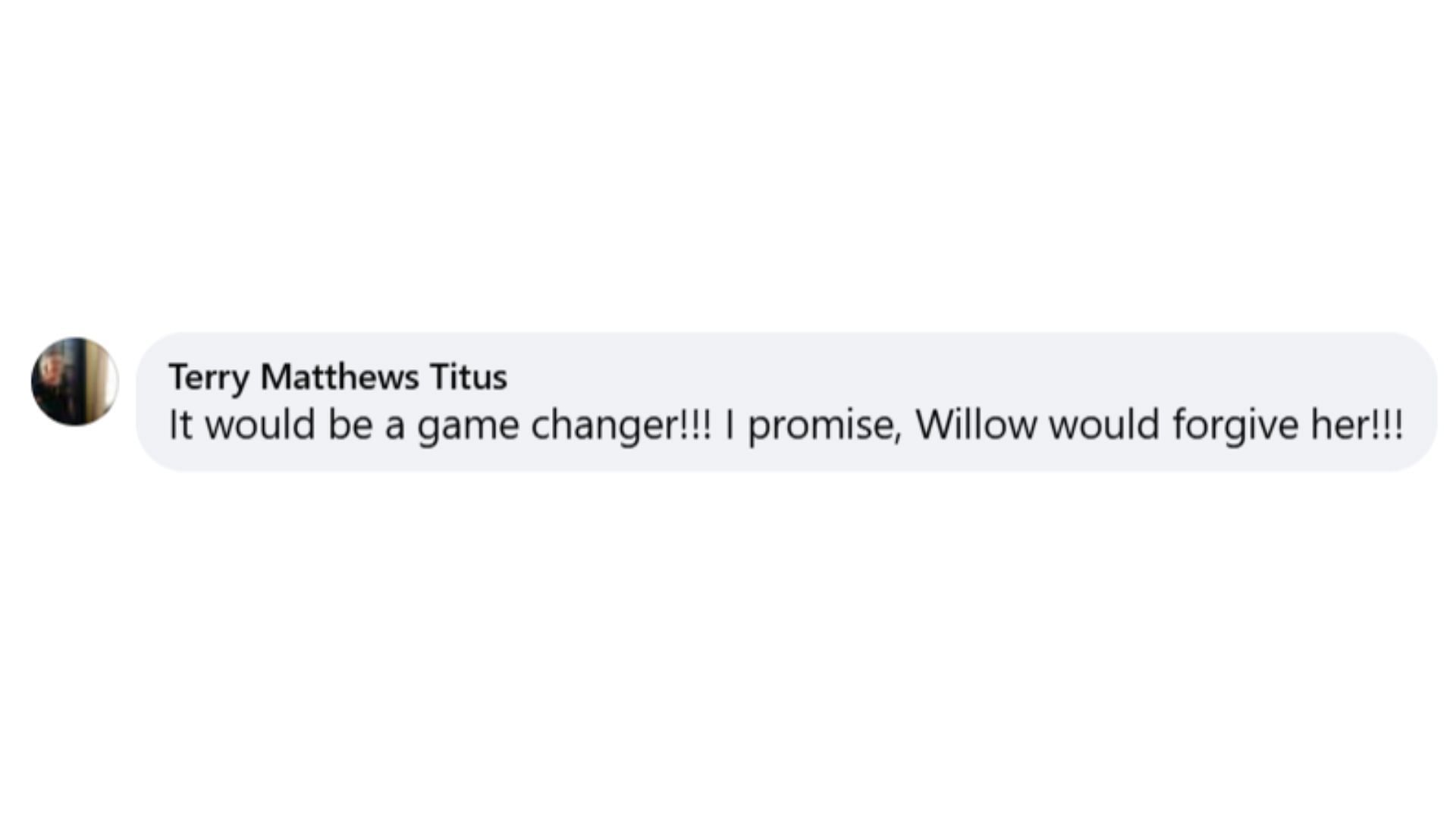 A fan&#039;s opinion on Willow learning about the Drew-Nina affair (Image via Facebook/@General Hospital Fans-Official)