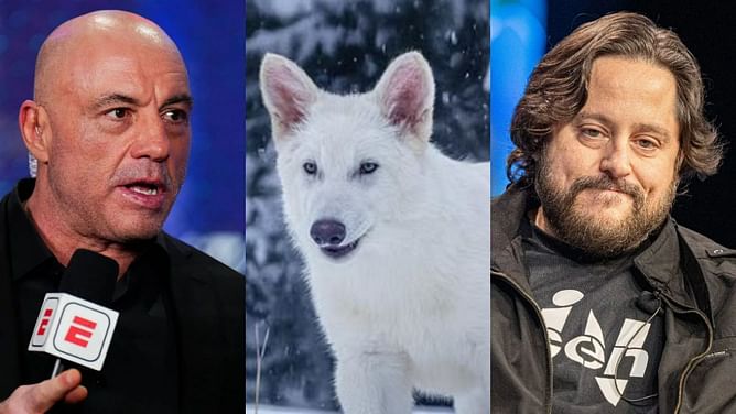 Joe Rogan hits Ben Lamm with tough question on meddling with nature in dire wolf resurrection debate