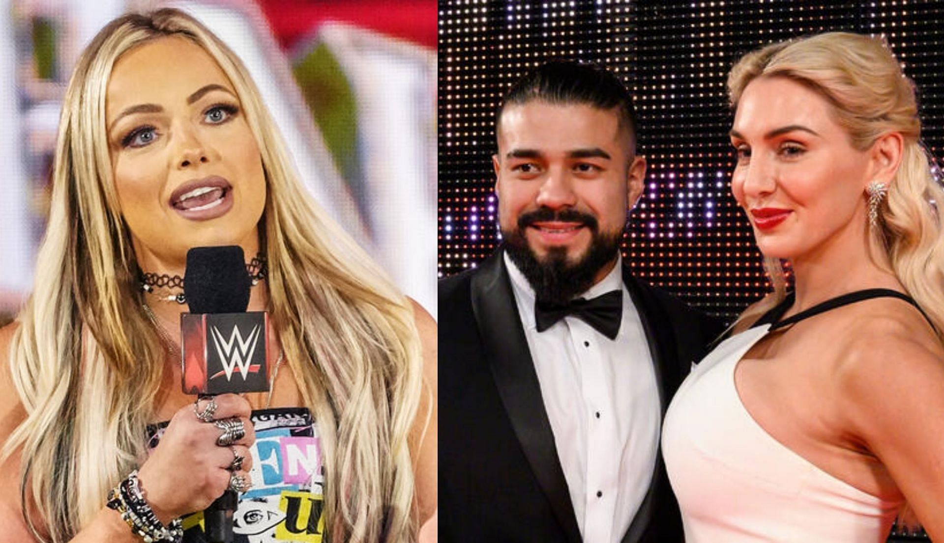 कुछ विमेंस रेसलर्स अलग-अलग रिलेशनशिप में रही हैं (Photo: WWE.com)