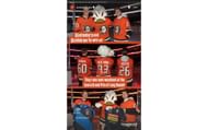 Screengrab of the Anaheim Ducks' Instagram story (@anaheimducks)