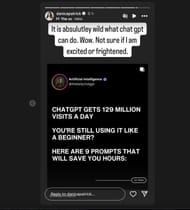 Danica Patrick's Instagram story about Chatgpt. Source : @Instagram/danicapatrick