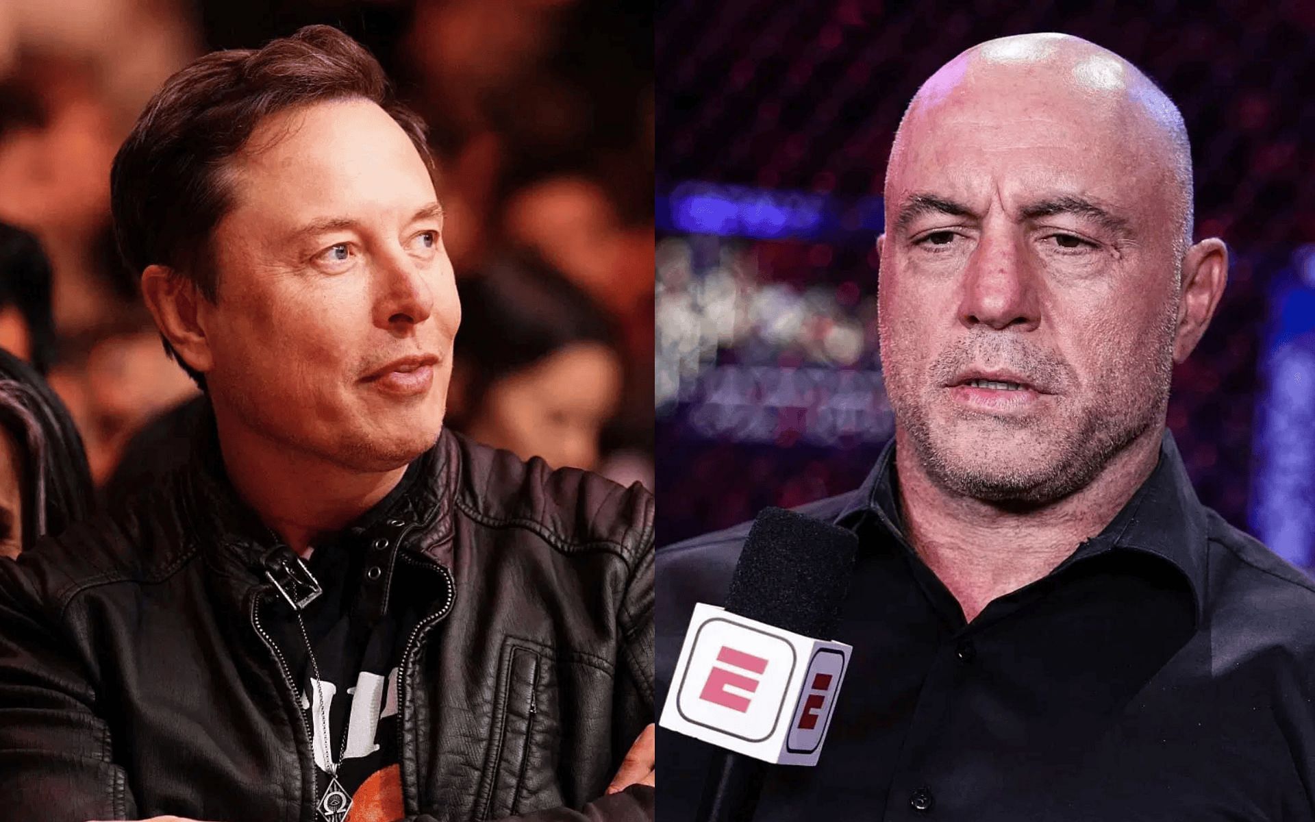 Elon Musk reacts to Joe Rogan
