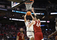 Arkansas big man Zvonimir Ivisic has transferred to Illinois to join his brother Tomislav. (Photo Credit: IMAGN)