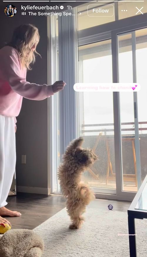 Kylie Feuerbach shows herself training her dog on her Instagram story