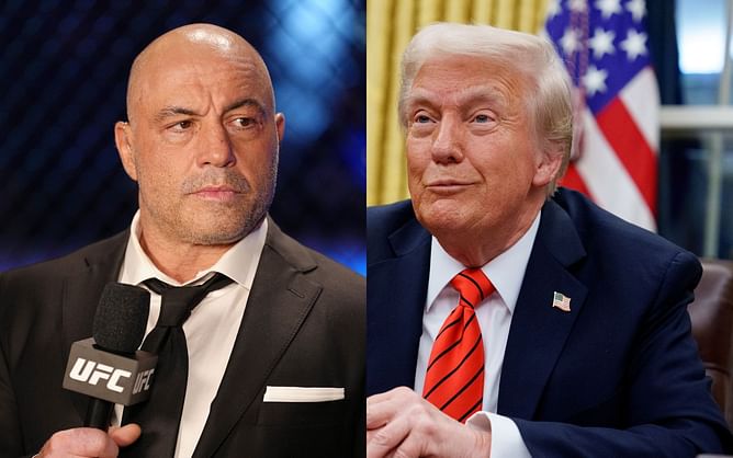 Joe Rogan reacts to Donald Trump's "baffling" tariff plans and stock market crash: "The whole world is mad at us"