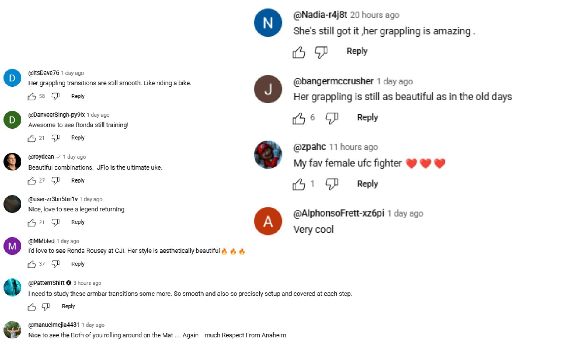 [Screenshots courtesy: JFLOJUDO on YouTube]