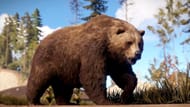 Hunting Bears for Cloth in Rust (Image via Facepunch Studios)