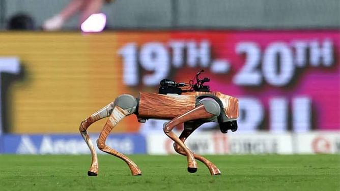 Delhi High Court pulls up BCCI over naming IPL 2025 'Champak' robo dog after children's magazine