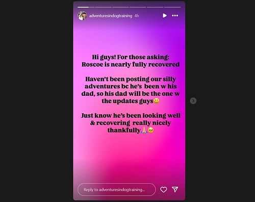 Lewis Hamilton's dog Roscoe's caretaker Kirstin McMillan shares a positive health update. Source: @adventuresindogtraining (via Instagram)