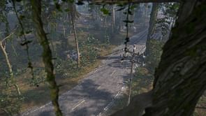 What can we expect from the Rust May update?