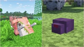 5 easy-to-miss mobs in Minecraft