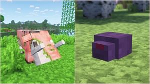 5 easy-to-miss mobs in Minecraft