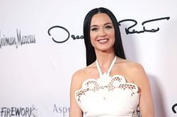 "Very weird for brands to participate in hateful pile ons" - Wendy's under fire over comment wishing for Katy Perry's return to space