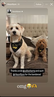Riley Flynn's Instagram Story | Image via Instagram (@rileymflynn)