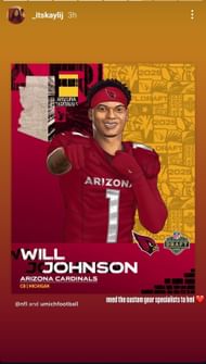 Still from Will Johnson's sister Kayli's Instagram story/@_itskaylij