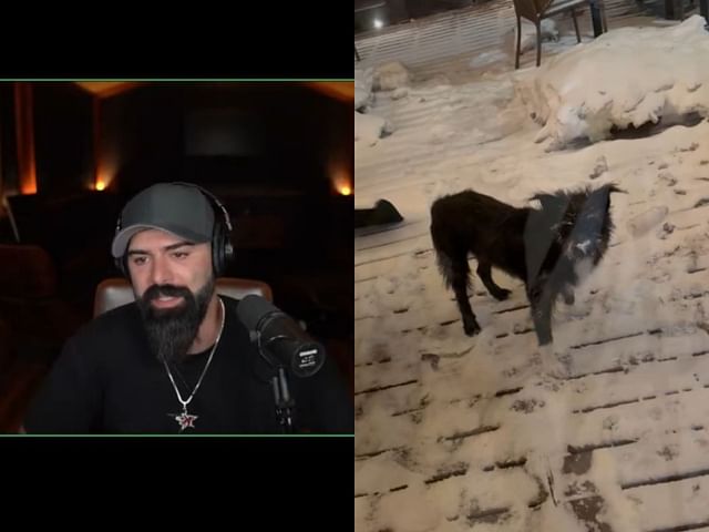 Keemstar shares tragic news about his pet dog (Image via YouTube/@LolCow Live and X/@Keemstar)