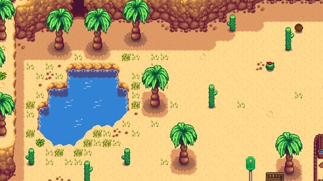 Stardew Valley: What is Calico Desert in Stardew Valley?